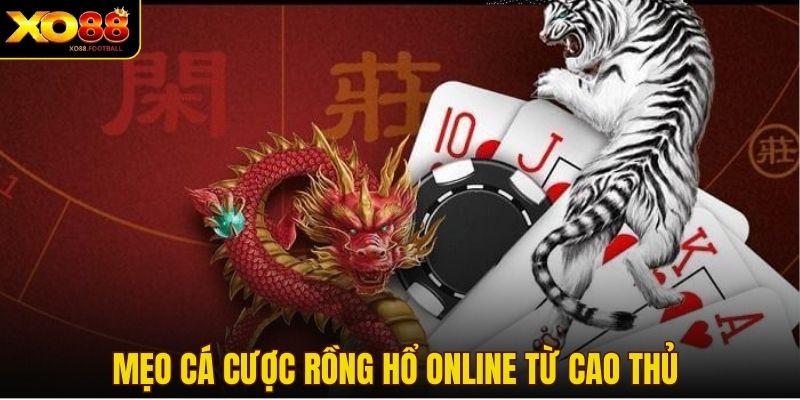 Mẹo cá cược Rồng Hổ online từ cao thủ&nbsp;