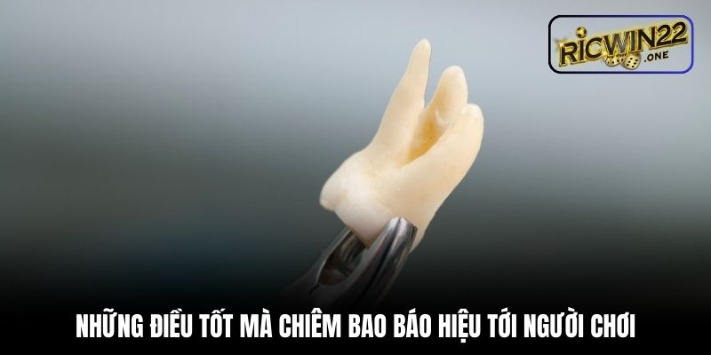 Những điều tốt mà chiêm bao báo hiệu tới người chơi