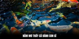 Nằm mơ thấy cá đánh con gì