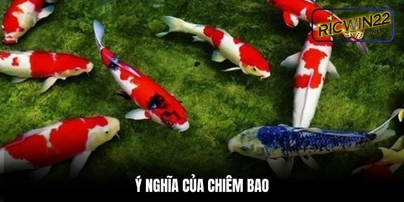 Ý nghĩa của chiêm bao thấy cá