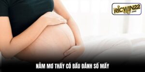 nằm mơ thấy có bầu đánh số mấy
