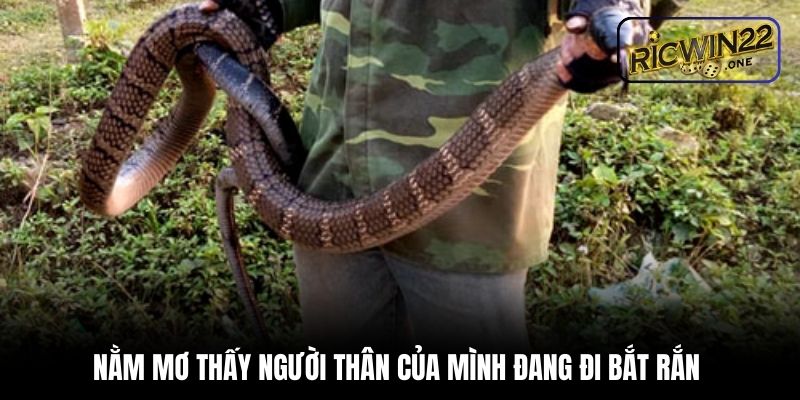 Nằm mơ thấy người thân của mình đang đi bắt rắn 