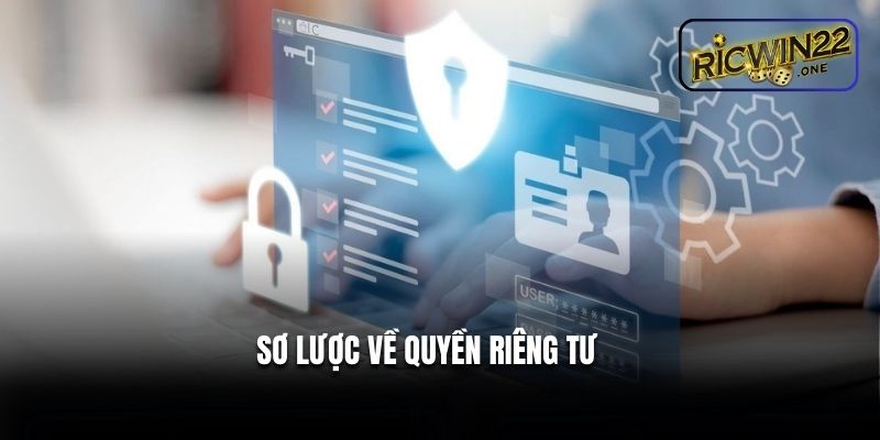 Sơ lược về quyền riêng tư