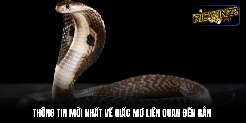 Thông tin mới nhất về giấc mơ liên quan đến rắn 